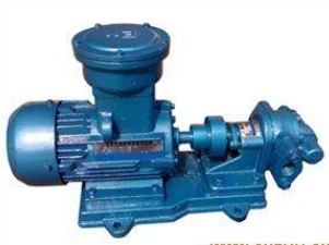 TCB防爆齿轮泵
