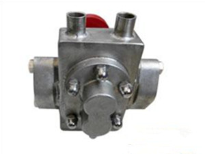 RCBF小流量不锈钢保温泵